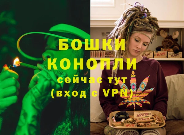 гашик Аркадак