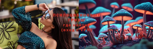 гашик Аркадак
