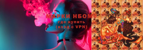 гашик Аркадак