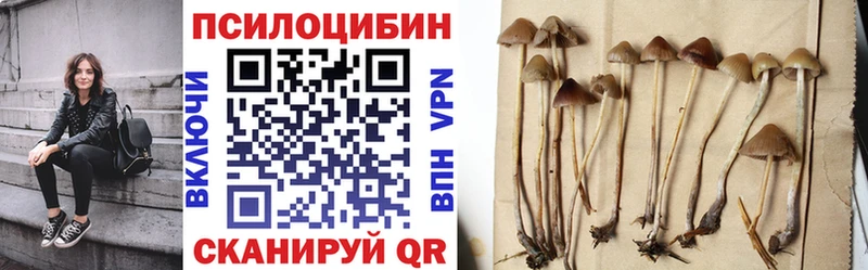 Галлюциногенные грибы Magic Shrooms  Петропавловск-Камчатский 