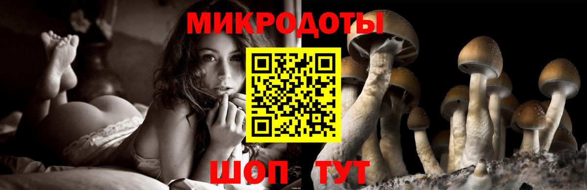 Псилоцибиновые грибы прущие грибы Петропавловск-Камчатский